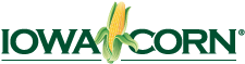 IowaCorn